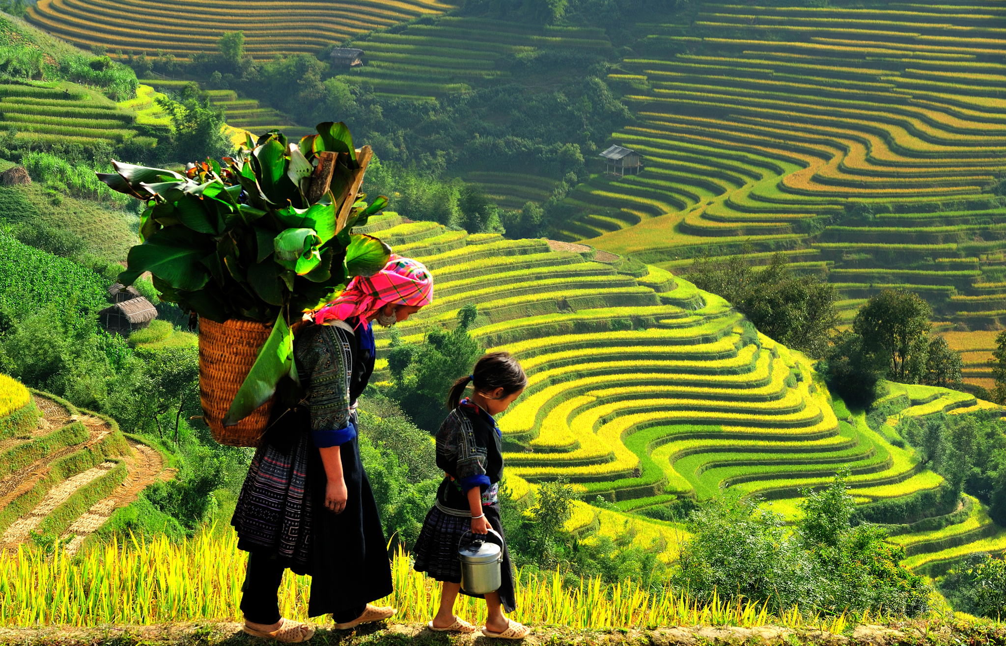 Trekking in Sapa